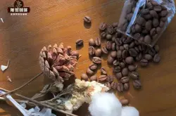 花魁6.0咖啡豆風味特點與花魁5.0區別 新產季罕貝拉花魁6.0價格