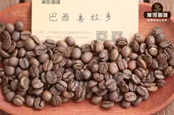 巴西咖啡豆的特點風味口感介紹 巴西喜拉多咖啡產地品種等級簡介