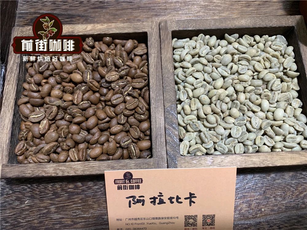 雲南小粒咖啡豆怎麼沖泡手衝方法介紹 雲南鐵皮卡咖啡的風味口感特點