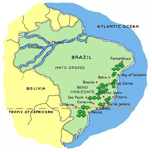 巴西产区图