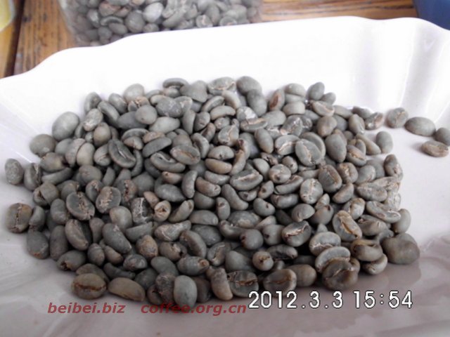 咖啡豆图片 印尼苏拉威西grade1  sulawesi 苏拉威西 图片 印尼 一级 sulawesi 
