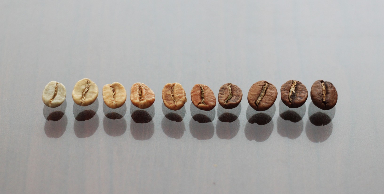 咖啡果实特性图文详细介绍(含解剖图)咖啡果怎么变咖啡豆