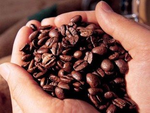 什么是咖啡因,咖啡因的作用详解
