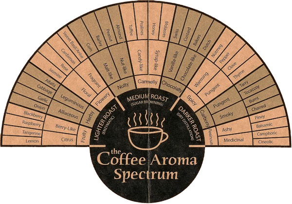 coffee-flavor-descriptors copyed