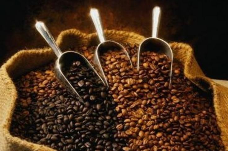 咖啡豆的系统介绍
