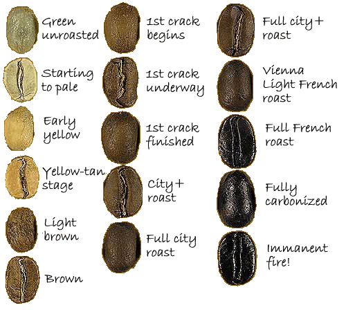 咖啡豆长时间存放会枯萎?