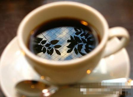 【品鉴咖啡】咖啡是优是劣交给舌尖
