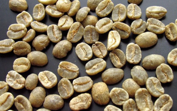 哥伦比亚SUPREMO级咖啡生豆 Colombia coffee green bean SUPREMO
