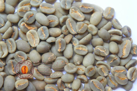 高级的咖啡豆–水洗曼特宁Gayo Mountain mandheling 