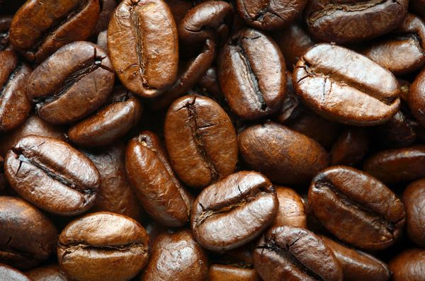 咖啡小常识:咖啡的起源和成分