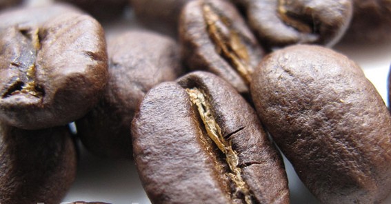 肯尼亚AA咖啡豆 Kenya AA 精品咖啡豆