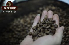 泰国本地咖啡豆品种介绍_泰国咖啡豆怎么样_泰国咖啡豆多少钱