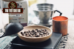 墨西哥波旁咖啡好喝吗?墨西哥恰帕斯州塔帕丘拉有机咖啡水果味